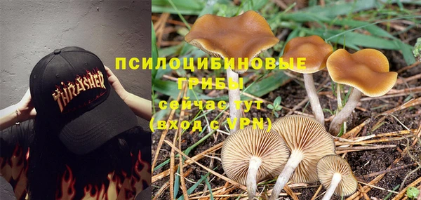 эйфоретик Заволжье