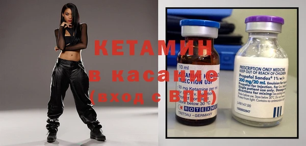 прущие грибы Ельня