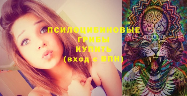 эйфоретик Заволжье
