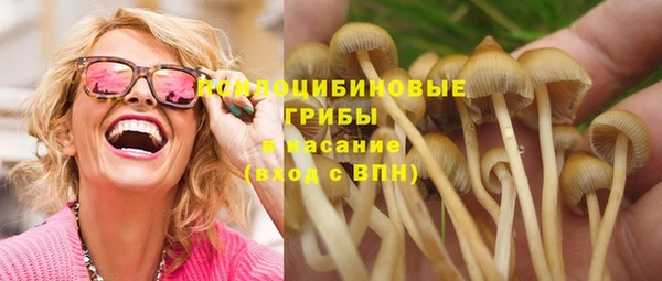 эйфоретик Заволжье