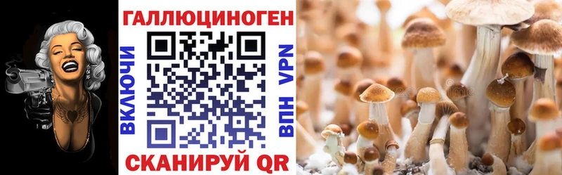 Галлюциногенные грибы мицелий  Купить  Райчихинск 